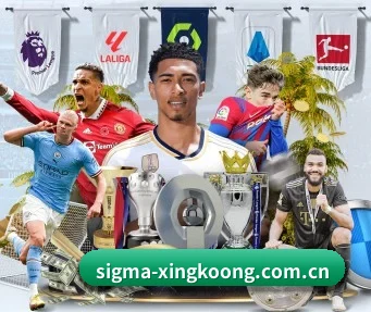 sigma-xingkoong.com.cn APP（xingkong）